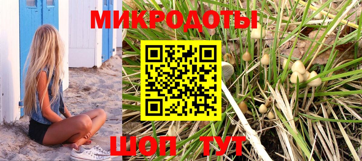 Псилоцибиновые грибы Psilocybine cubensis  Вход с VPN  Псилоцибиновые грибы Cubensis  Феодосия 