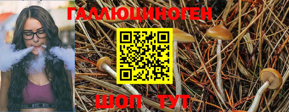 Псилоцибиновые грибы Magic Shrooms Феодосия
